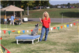 Woman Doing Dog Demonstration