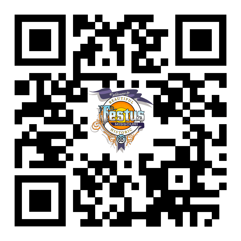 CityofFestusMO4257 (4)